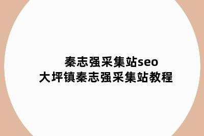 秦志强采集站seo 大坪镇秦志强采集站教程